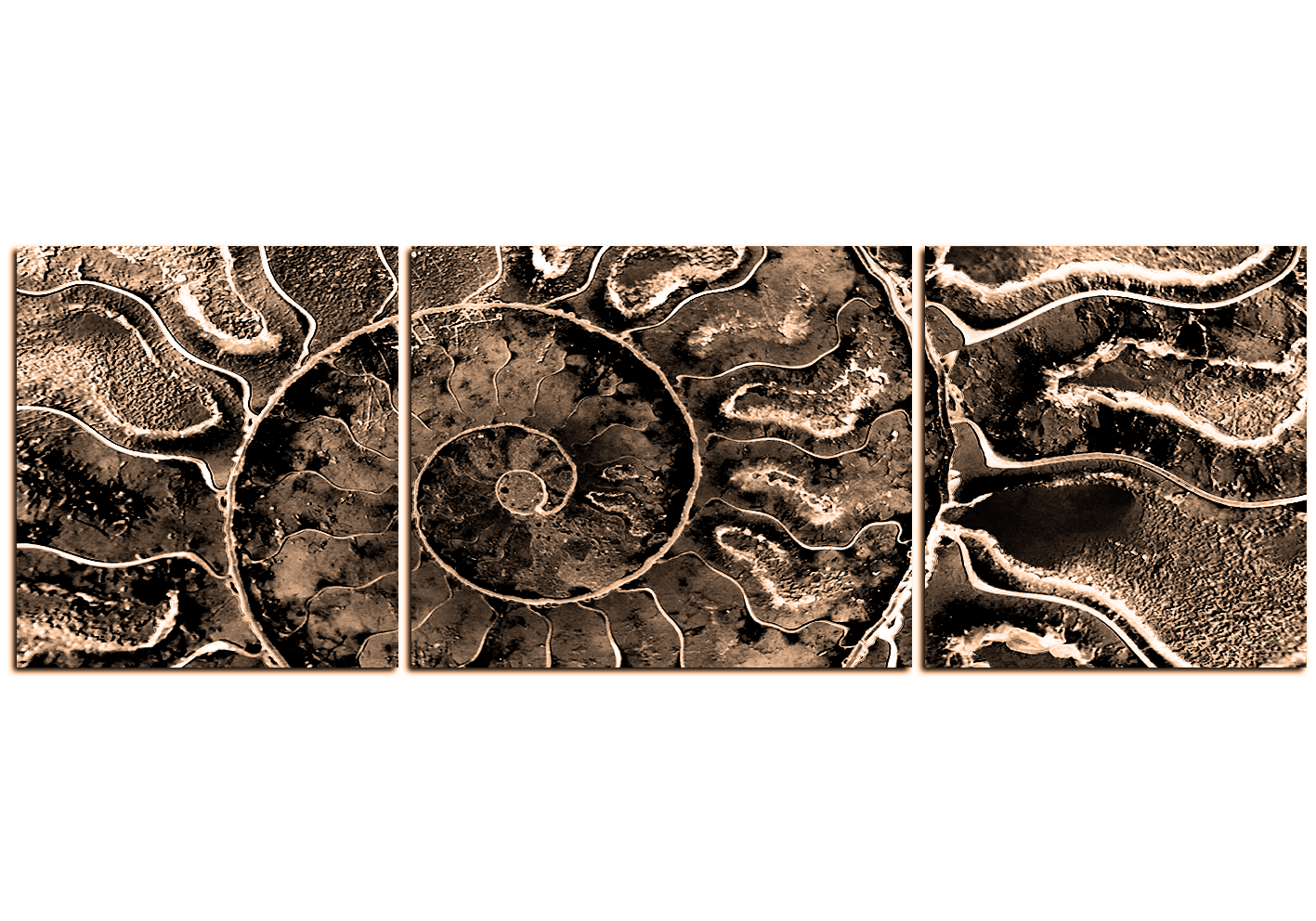 Obraz na plátně - Textura fosílie - panoráma Obraz na plátně - Textura fosílie - panoráma